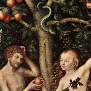 亚当干夏娃我们等吃瓜 吃瓜天堂,探寻吃瓜天堂的秘密