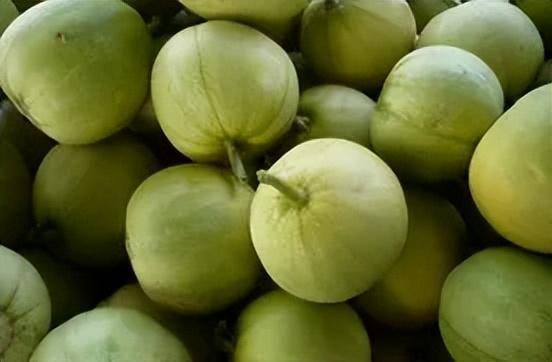 棱瓜哪里吃的多,探寻我国各地美食中的“绿色宝藏”