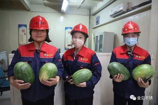 企业员工吃瓜比赛,吃瓜大赛趣味横生