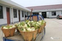 今起吃瓜,揭秘娱乐圈最新热点事件