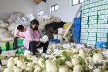 今起吃瓜,揭秘娱乐圈最新热点事件