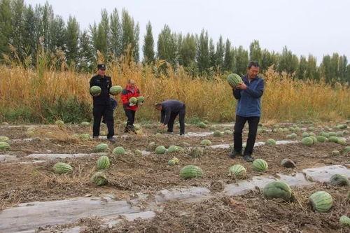 家乡美景吃瓜群众