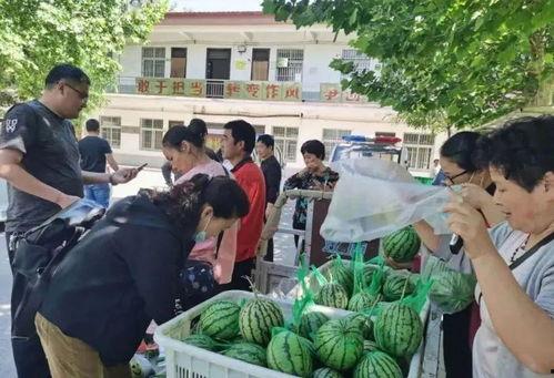 封丘吃瓜事件真相,揭开真相背后的真相