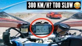 吃瓜兰博,揭秘娱乐圈的“瓜王”传奇