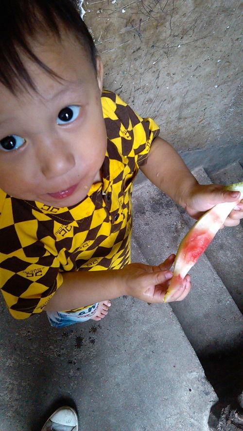 弟弟吃瓜视频,弟弟吃瓜视频背后的趣味故事