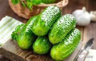 四人pk 吃瓜,吃瓜群众见证历史性对决