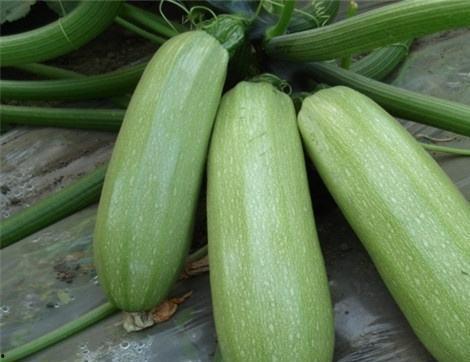 最近吃瓜比较多