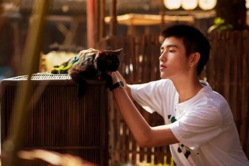 陈红儿子吃瓜,引发网友热议