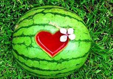 周公解梦瓜田里搞瓜吃瓜,瓜田里搞瓜吃瓜的寓意与启示