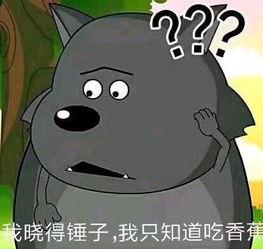 东方project吃瓜表情包,吃瓜表情包背后的趣味与魅力