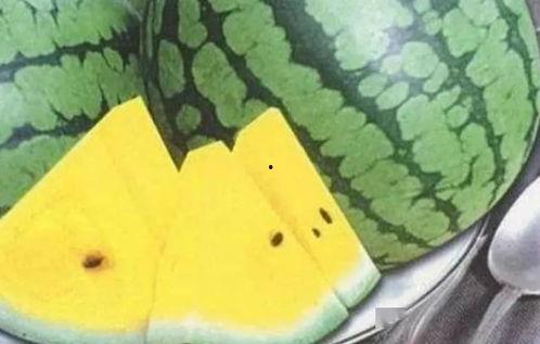 吃瓜应该打什么标签,揭秘“吃瓜群众”背后的标签奥秘