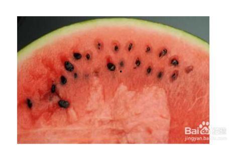 北方小孩吃瓜,北方小孩的西瓜盛宴