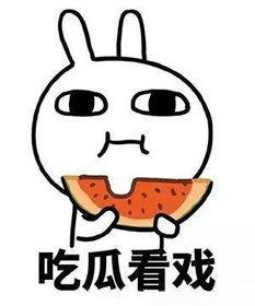 带你吃瓜评论准备吃席,揭秘吃席背后的文化盛宴