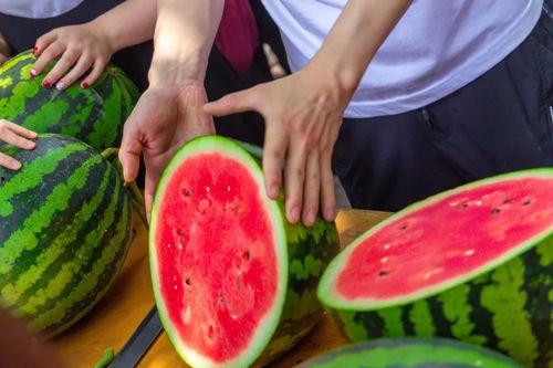 大学最新吃瓜,一网打尽校园风云录