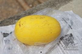 瑞丽人民吃瓜,探寻当地独特的美食文化