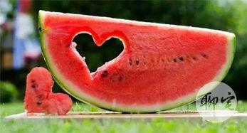 吃瓜的网,揭秘网络热点背后的真相与趣味