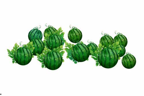 吃瓜要有吃瓜的样子,揭秘吃瓜群众的吃瓜之道