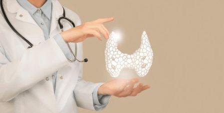 吃瓜脱发图片,揭秘瓜果与脱发之间的神秘联系