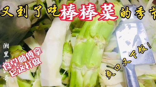 新世纪老师吃瓜,吃瓜之余，品味教育新风向