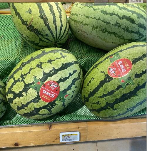 vita1利兹吃瓜,揭秘网红吃瓜背后的故事