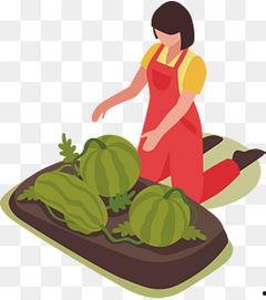 莎莉吃瓜合集,娱乐圈幕后故事全收录