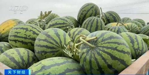 查验吃瓜,吃瓜群众眼中的查验风云