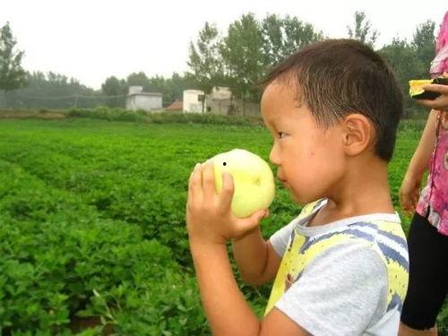 吃瓜乐园超话,超话中的欢乐与争议