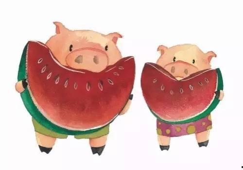 给猪吃瓜好不,探究给猪吃瓜的益处与乐趣