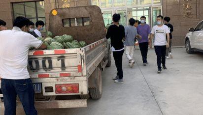 财经学校吃瓜,揭秘校园吃瓜背后的财经故事