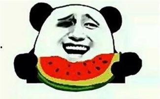 爬坡吃瓜,揭秘挑战与乐趣并存的生活态度