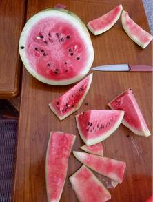 用铲子吃瓜,夏日消暑新风尚