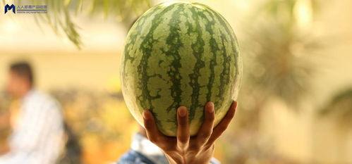 疯狂吃瓜的,揭秘娱乐圈幕后真相