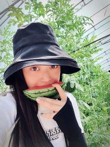 吃瓜大头巾,时尚潮流与趣味生活的完美融合