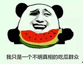 吃瓜谁最真,吃瓜谁最真，真相大起底