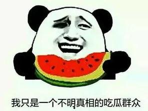 吃瓜群免费观看,吃瓜群带你领略影视盛宴