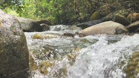 小溪吃瓜短剧,揭秘短剧中的欢乐与智慧