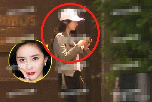 吃瓜沈迪,揭秘娱乐圈背后的故事与真相