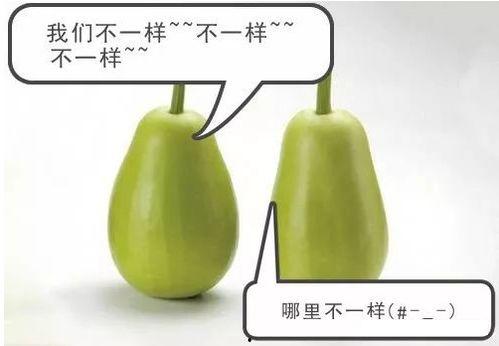 七安吃瓜,揭秘娱乐圈背后的那些事儿