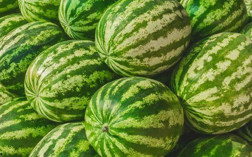 生活节吃瓜,品味日常，畅享节吃瓜时光