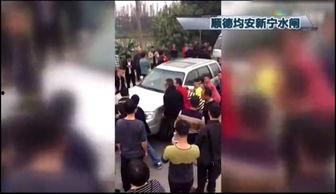 佛山吃瓜群众被击毙