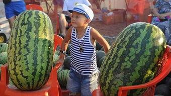 桌子上吃瓜好吗