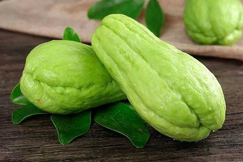 小强吃佛手瓜,一场味蕾的奇妙邂逅