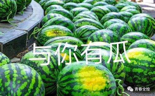 吃瓜 列表,吃瓜群众视角下的娱乐圈风云录