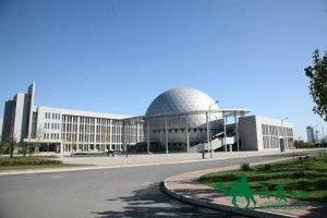 吃瓜天津城建大学,揭秘校园里的“吃瓜”趣事