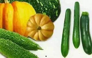 吃瓜的瓜作品叶迟,瓜田里的奇幻之旅